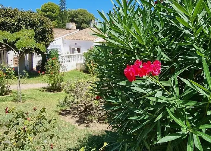 Casa Azul De Agnes Σπίτι διακοπών Gran Alacant
