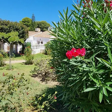 Casa Azul De Agnes Semesterbostad Gran Alacant